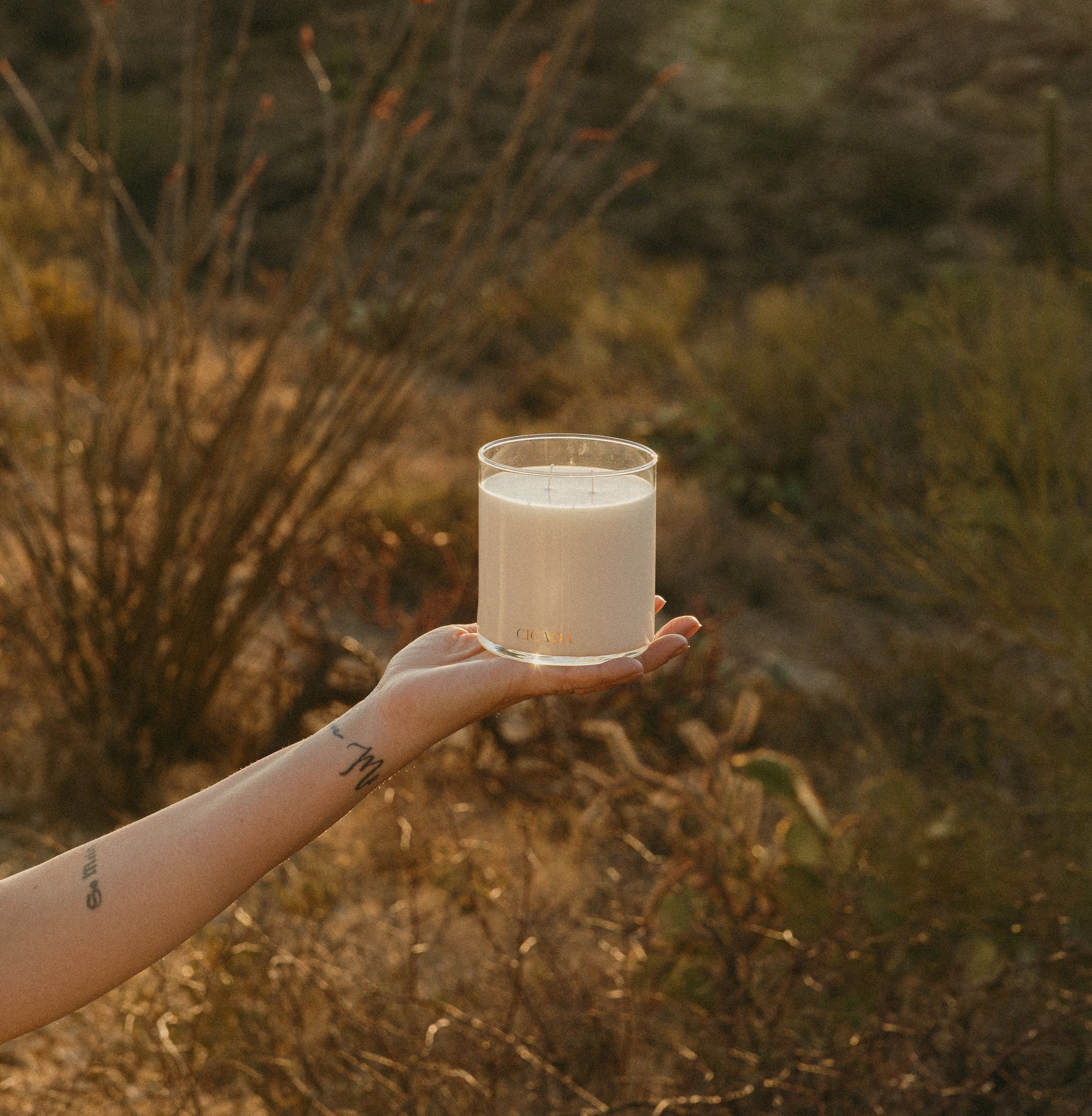Lifestyle image of arm and hand holding glass candle in a desert landscape setting.