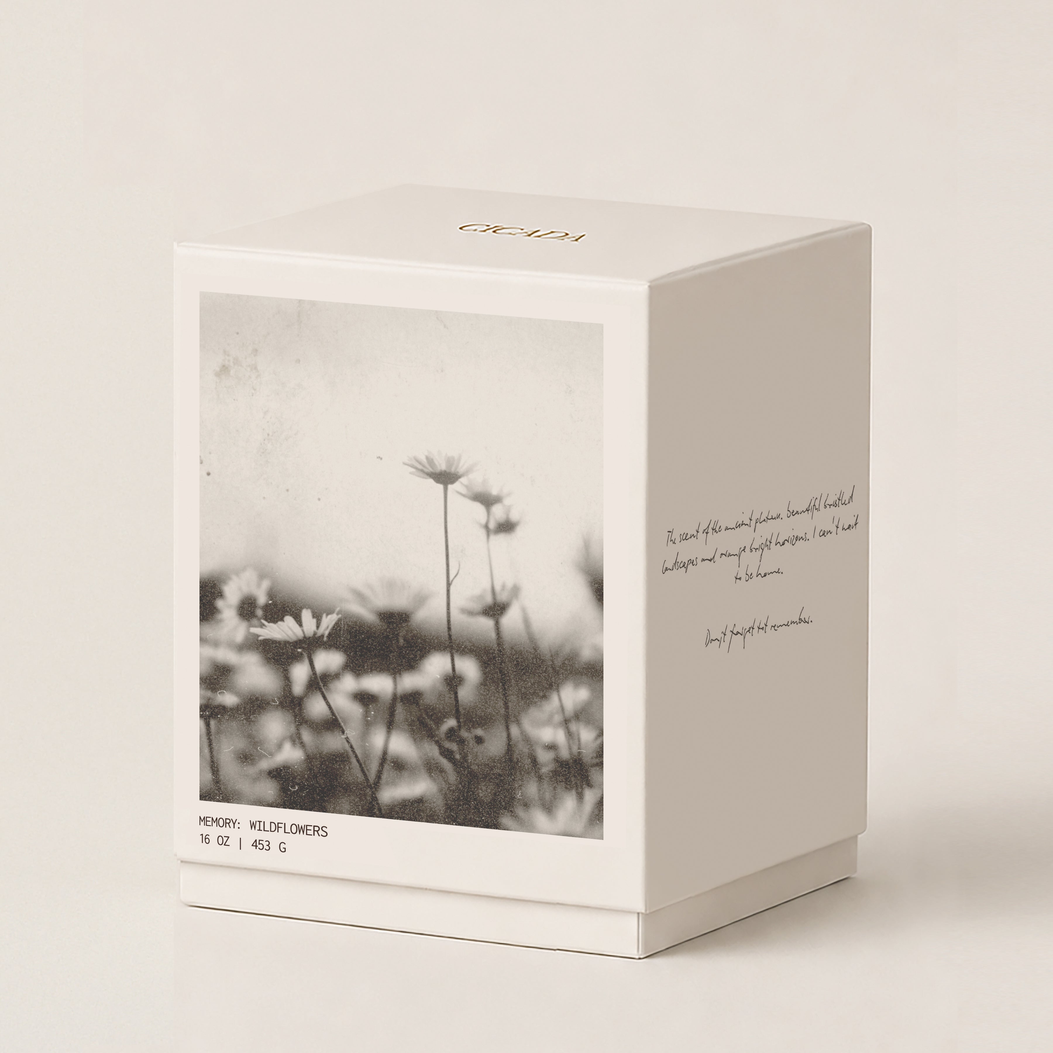 A square cream 16oz candle box with a black-and-white floral photo on the front, gold 'CICADA' branding on top, and handwritten-style text on the side, photographed on a warm off-white background.