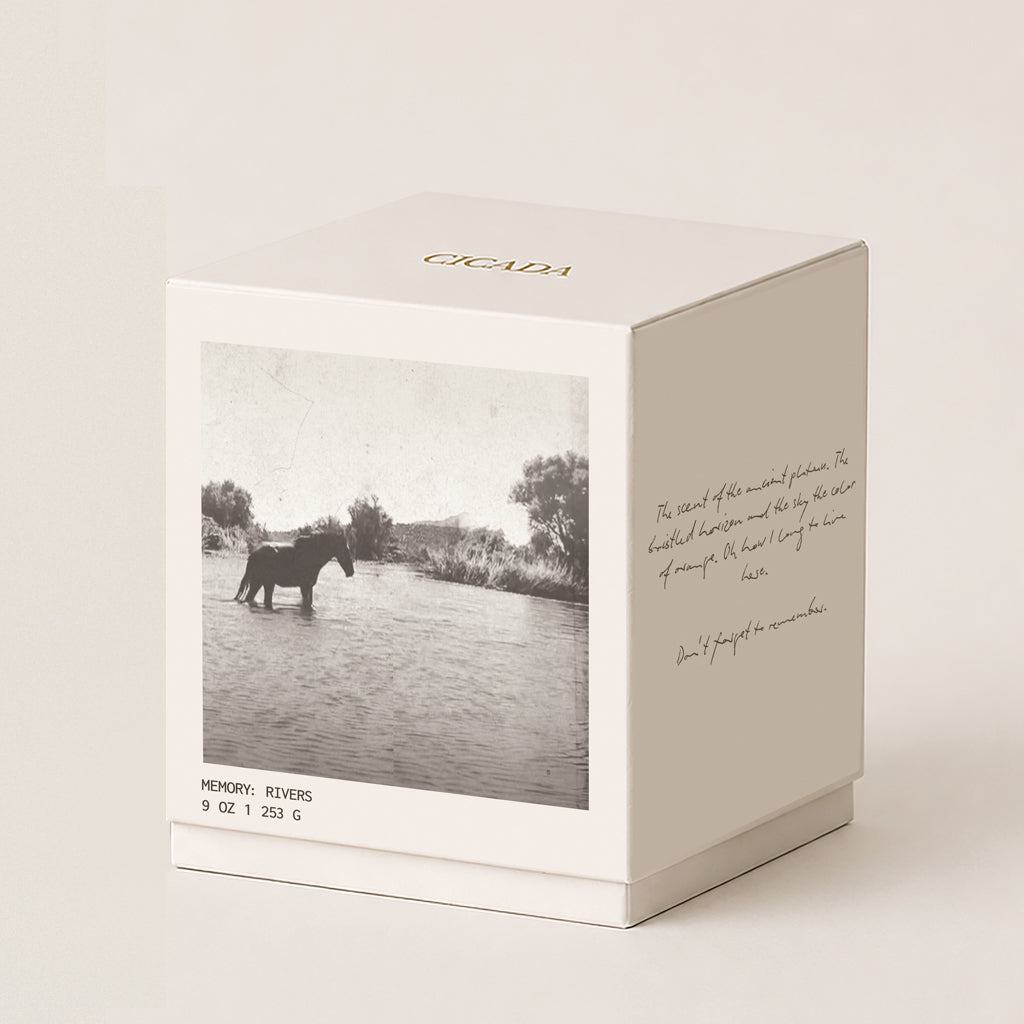 A square cream 9oz candle box with a monochrome photograph of a horse standing in river on the front panel, plus handwritten-style text on the side. The top of the box is printed with the brand name CICADA in gold. Box is set on cream background.