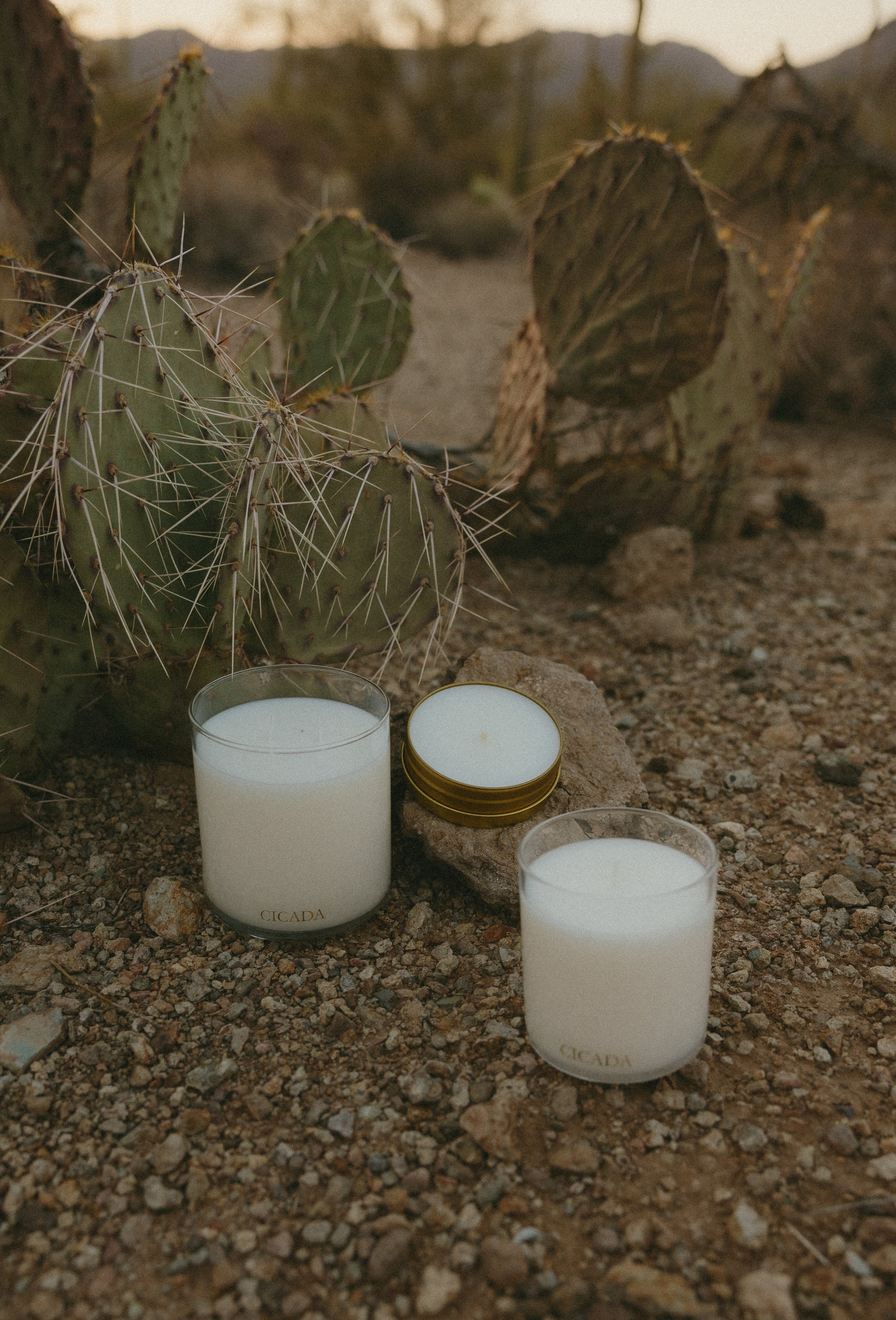 Lifestyle image of all three candle sizes (16oz, 9 oz, and 4oz) sitting on desert floor next to cactus. 