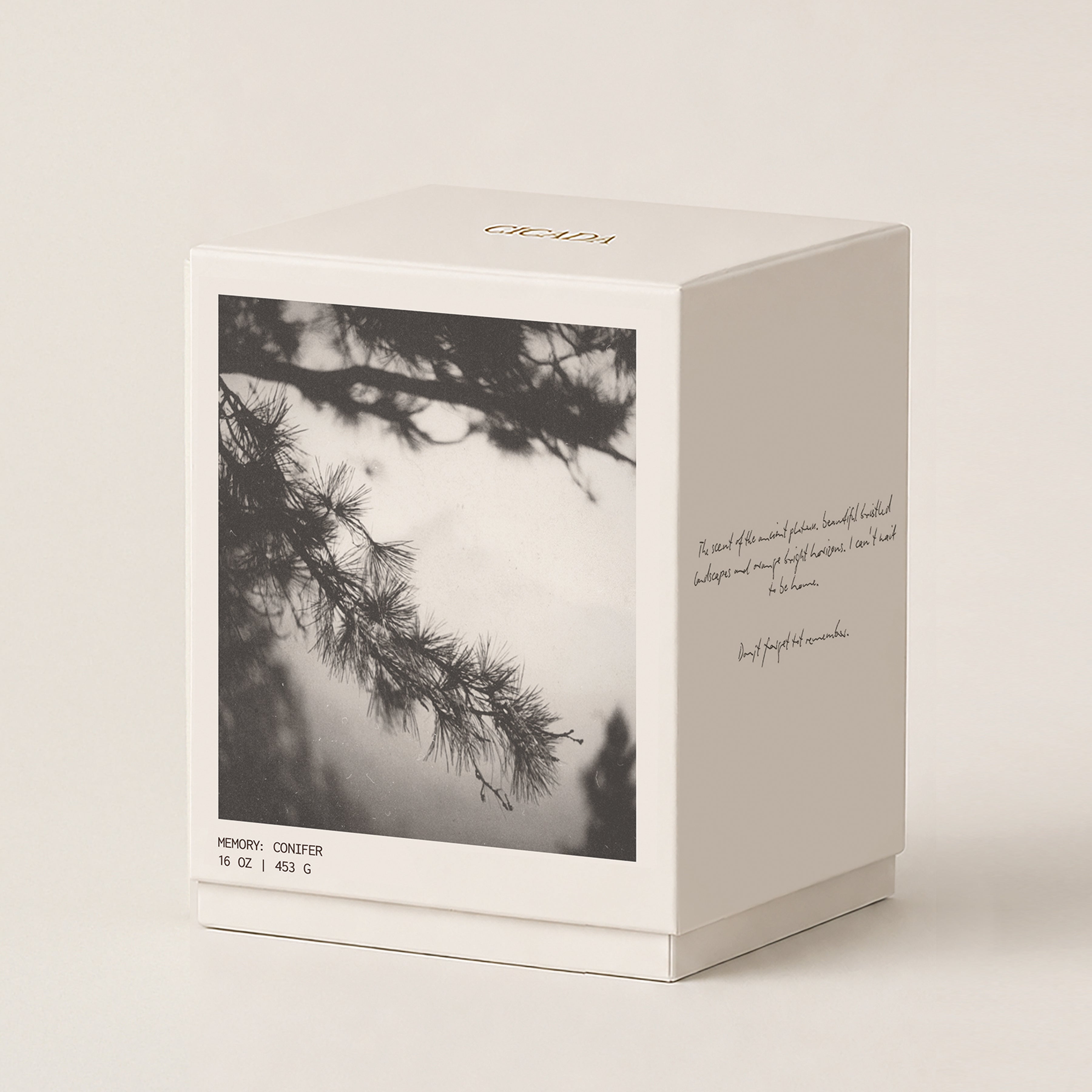 A cream product box with a printed black-and-white photograph of pine branches, set against a plain light beige background. The box has elegant gold lettering on top, along with handwritten-style text on the right panel.