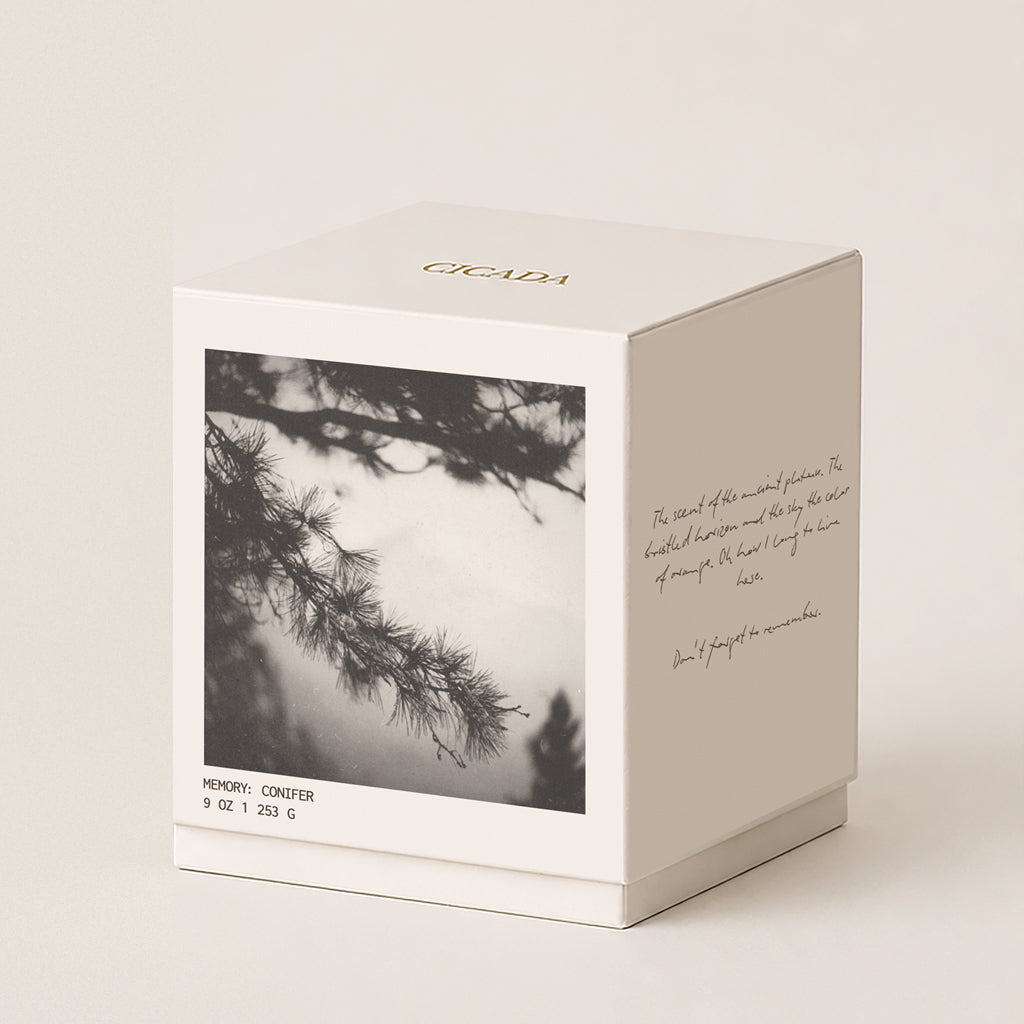 A cream gift box for CICADA 'Memory Conifer' scented coconut-soy blend wax candle, featuring a black-and-white photograph of pine branches on the front and elegant cursive text on the side, set against a light beige background.