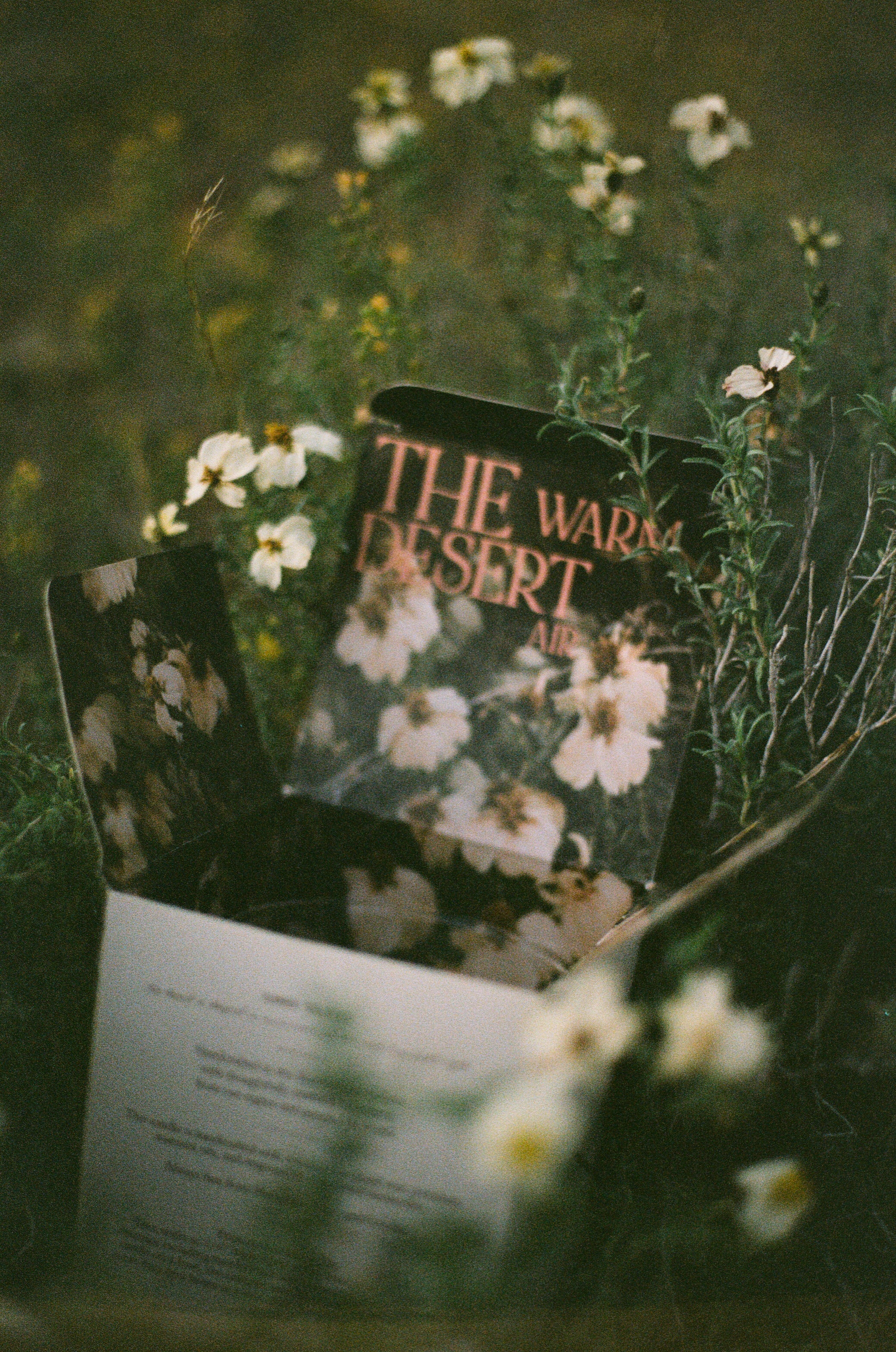 Image of summer solstice candle box open showing floral interior print of box and text that reads The Warm Desert Air