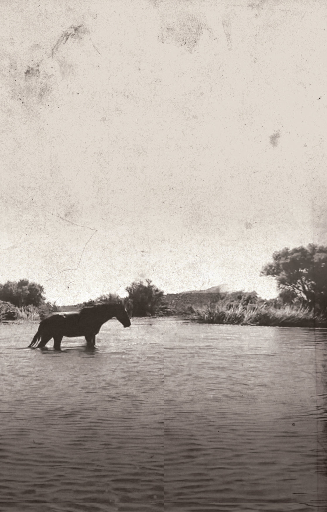 Vintage sepia-toned photograph of a horse standing in shallow water near a tree-lined shore, with a distressed, aged paper texture across the frame.