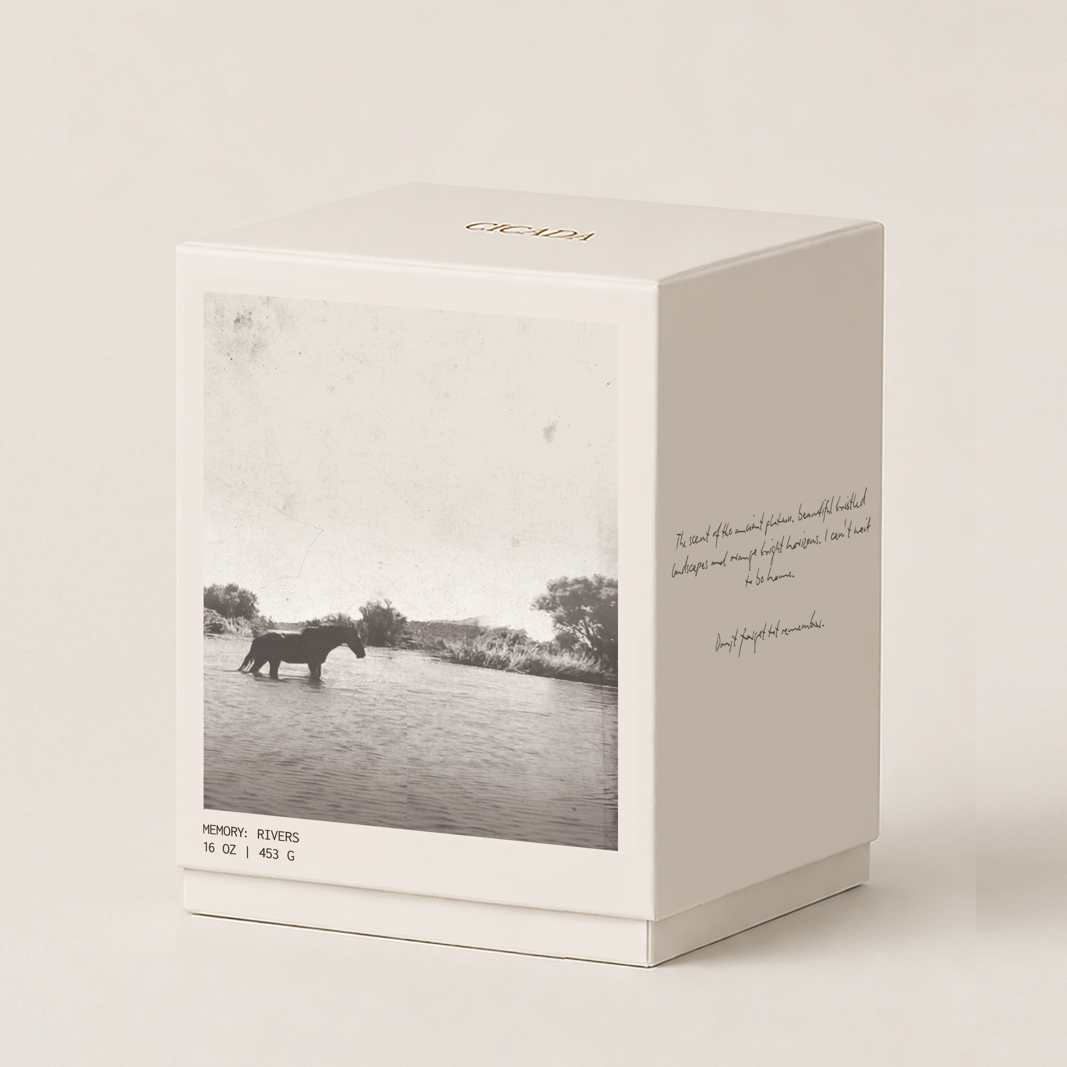 A square cream 16oz candle box with a monochrome photograph of a horse standing in river on the front panel, plus handwritten-style text on the side. The top of the box is printed with the brand name CICADA in gold. Box is set on cream background.