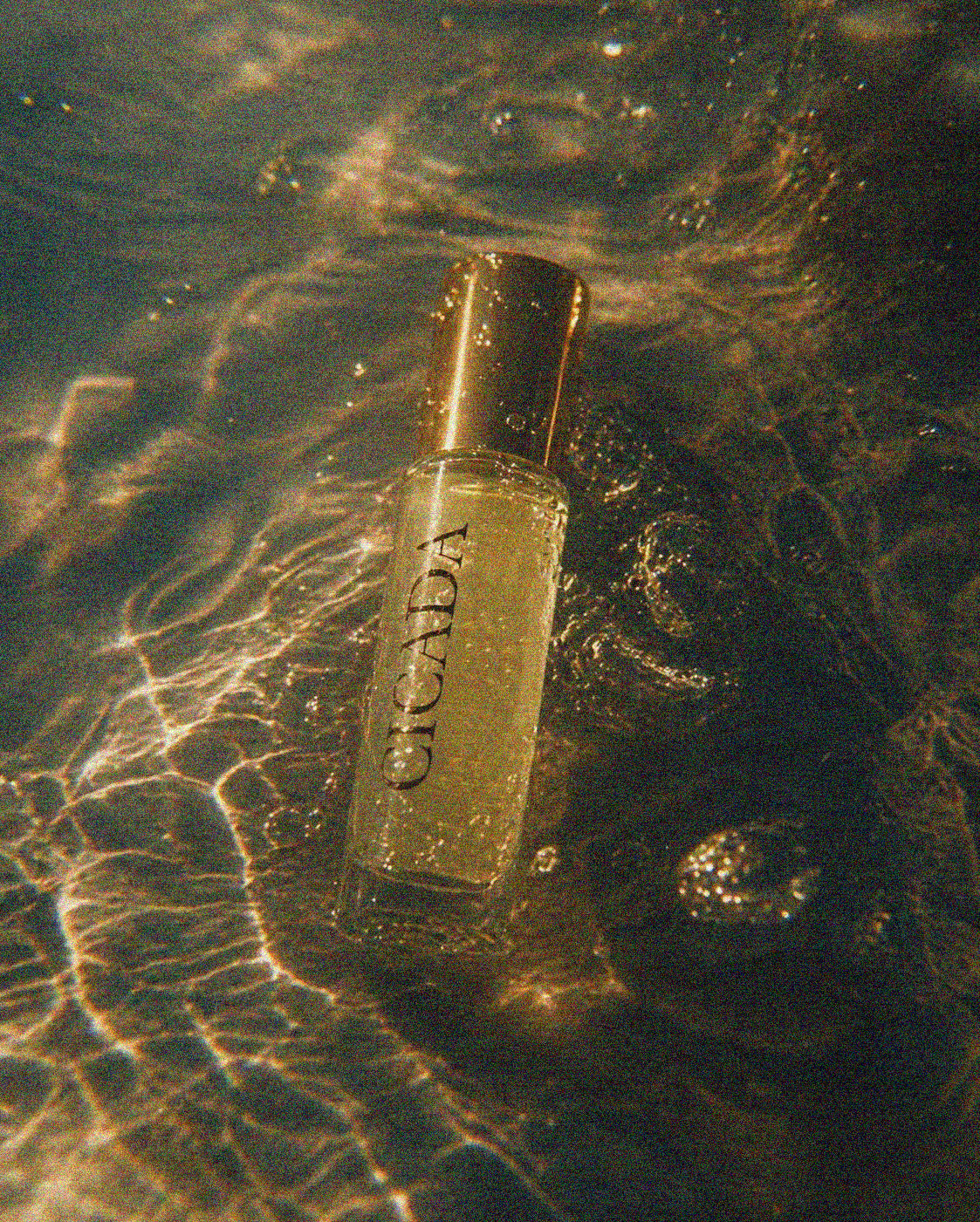 A small cylindrical perfume bottle labeled 'CICADA' floating in shallow water with rippling light reflections on the surface.