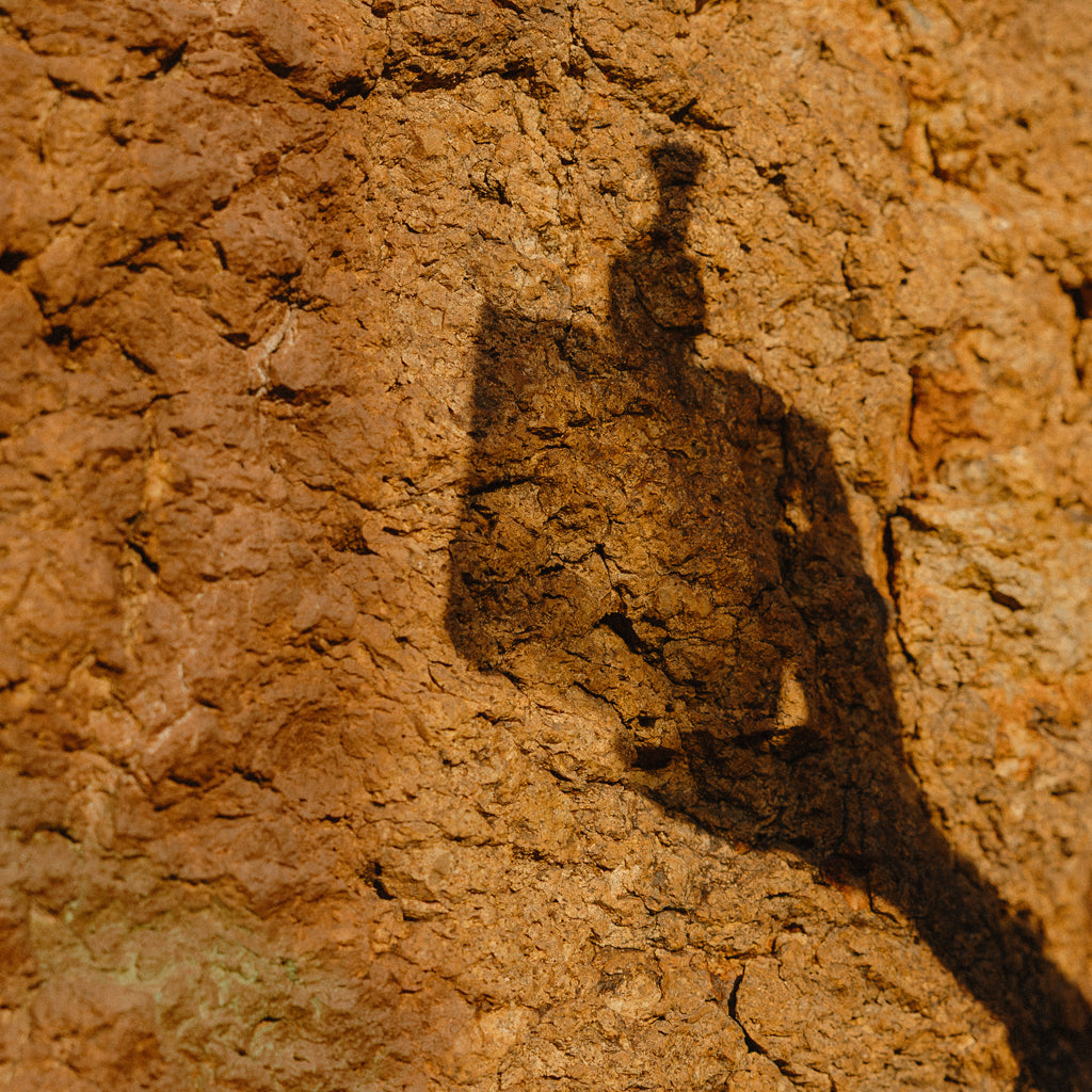 Image of hand, arm, and CICADA soap bottle shadow against desert rock background. 