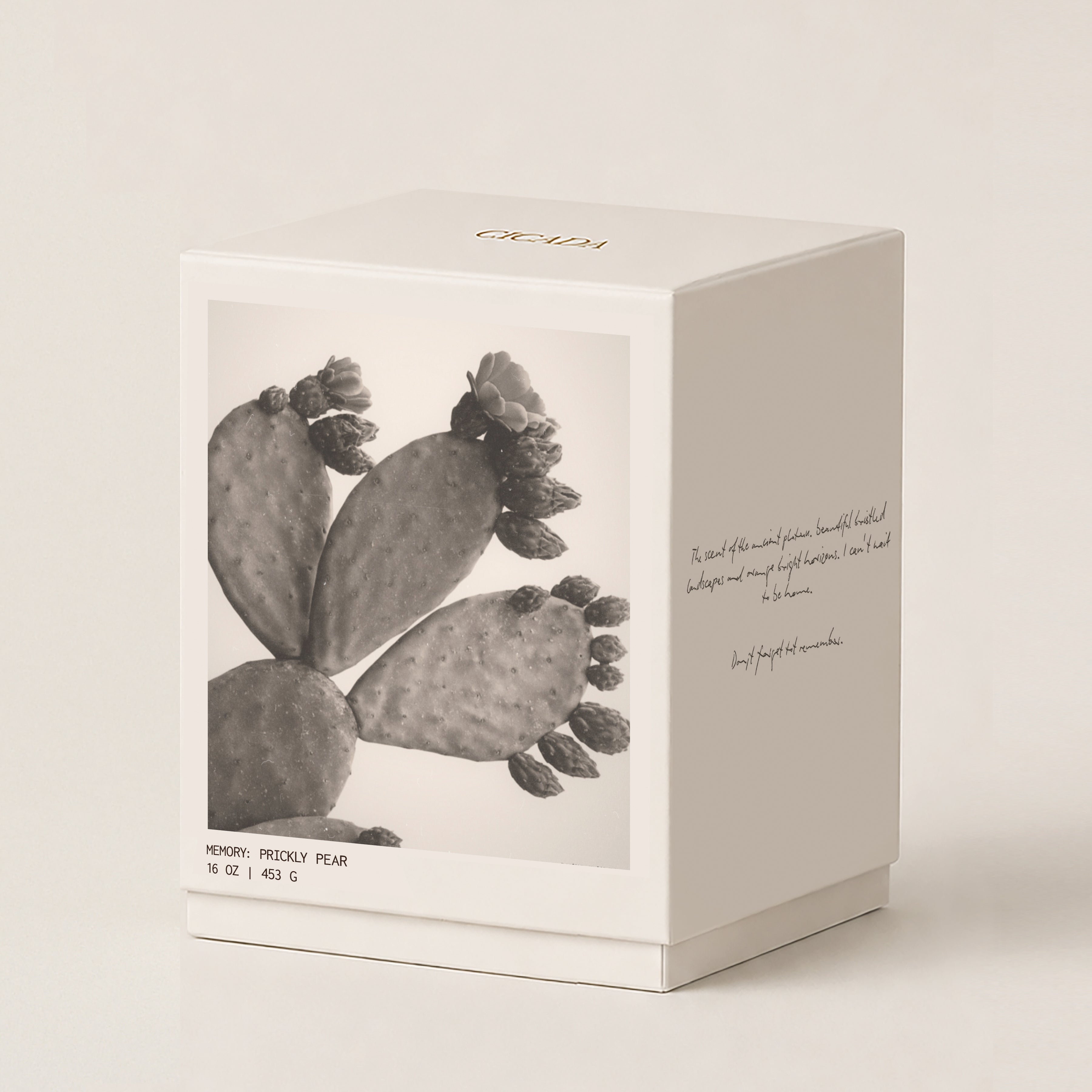 A square cream-colored 16 oz candle box with a black-and-white photograph of a prickly pear cactus on the front, gold 'CICADA' branding on the lid, and handwritten-style text on the side, photographed on a warm off-white background.