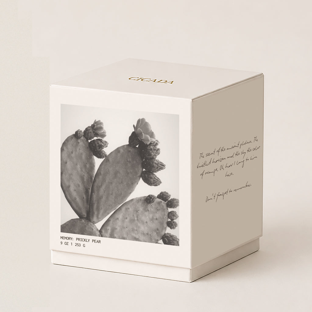 A square cream-colored 9 oz candle box with a black-and-white photograph of a prickly pear cactus on the front, gold 'CICADA' branding on the lid, and handwritten-style text on the side, photographed on a warm off-white background.